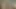 GENTLYPERV için av! Ormanda randevu. O büyük yarağı bulabilecek miyim?