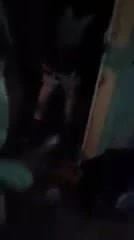 Чистий салоп