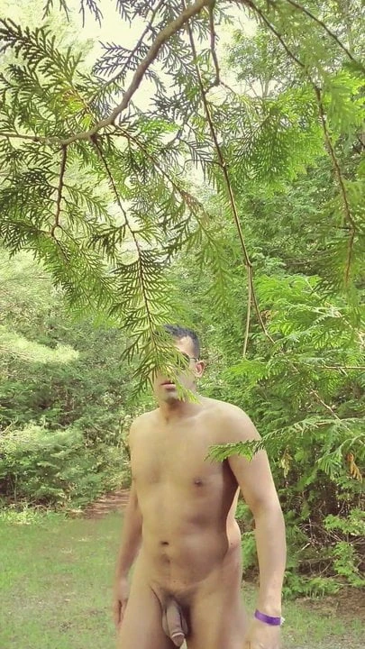 Nude walking in the wood 2