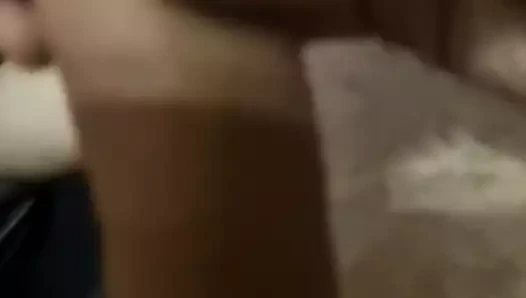azgın horoz
