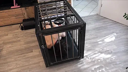 Der alltag einer sklavensklavin