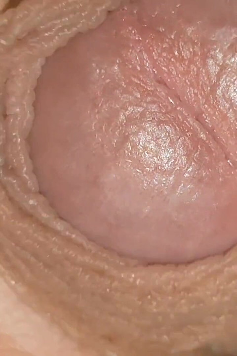 小さな猫のペニスゆっくりと開花