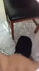 dog algeria