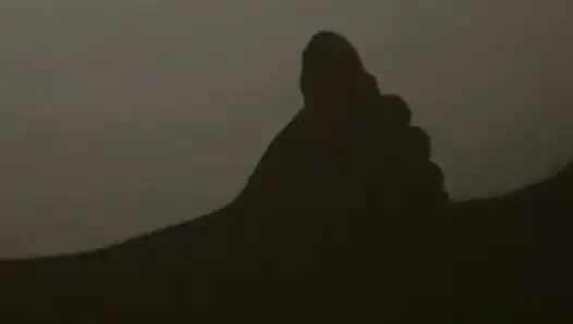 Шоу теней и прелюдия девушки Mallu