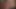 Kanadalı bebek nikki benz tommy gunn tarafından doldurulmuş kedi alır!