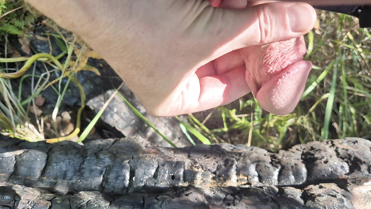 so much delicious sperm - jerking off on burnt tree