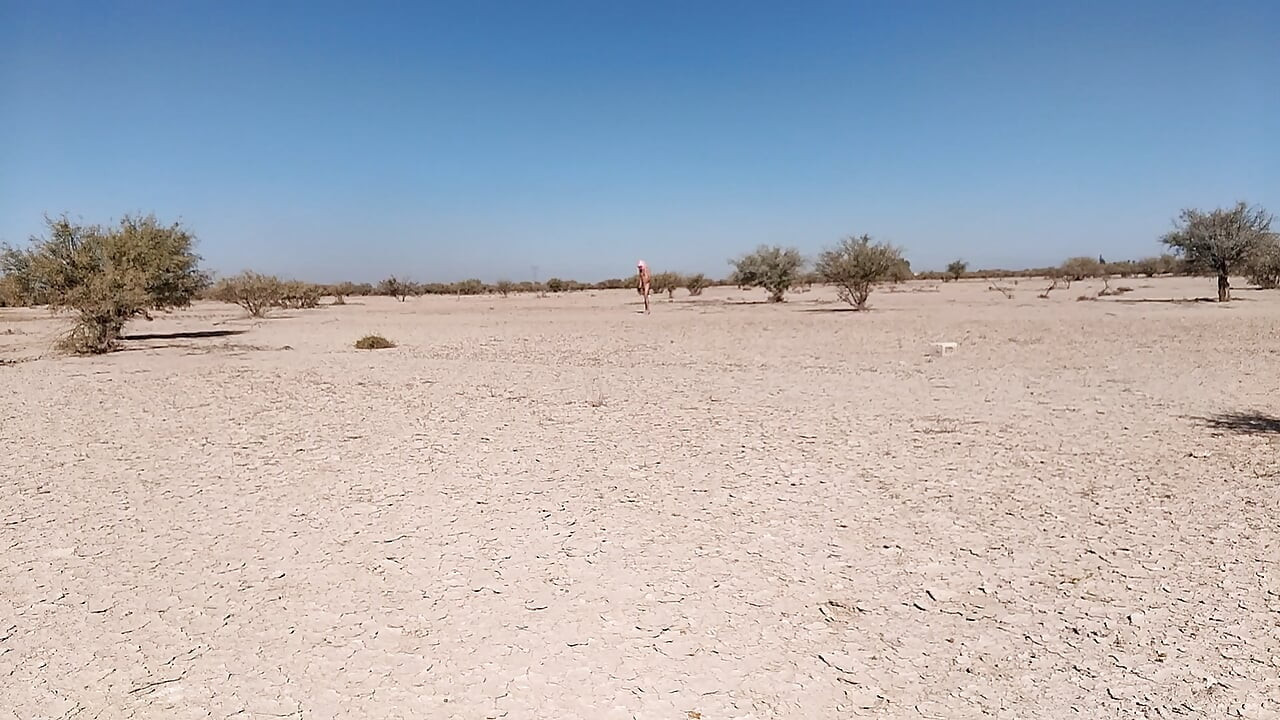 ดอกทองเซ็กซี่ดอกทองเปลือยกายในที่สาธารณะกับส้นสูงและเสียบในตูดร้อนมาก