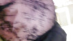 Pregled videozapisa