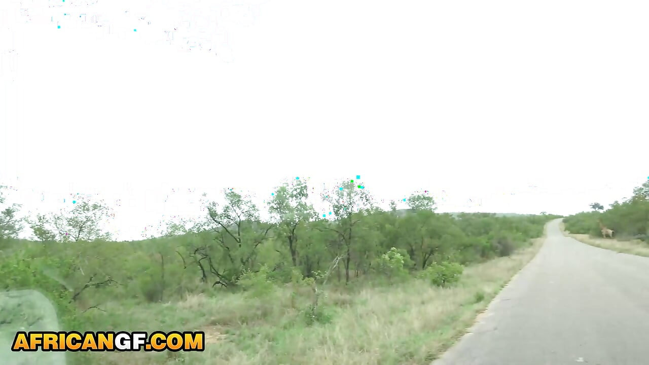 Horny Ebony GF Demands To Suck My Dick In The Middle of Safari Trip