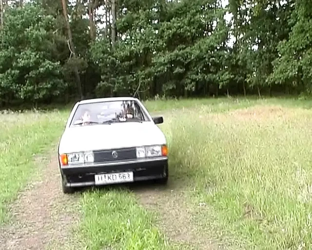 Dark haired chick from Germany making two dudes cum in the woods