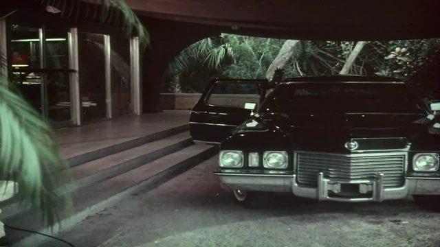 The Bride's Initiation (1976)