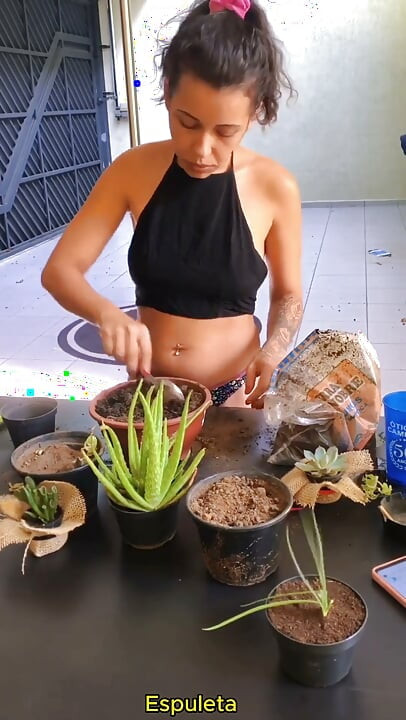 ชีวิตประจำวันของสาวหุ่นดี - จัดต้นไม้ของเธอ