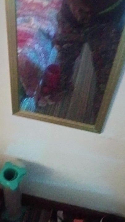 Show de exibição