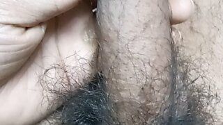 Hot hairy Indian soft cock playing