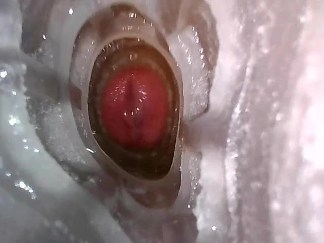 Closeup Cumshot I'm Fleshlight