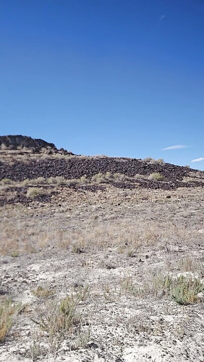 Walk in the Desert 1