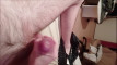 Pregled videozapisa