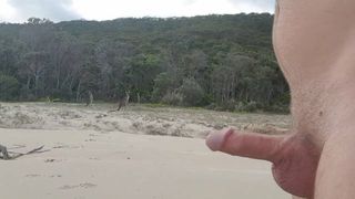 在澳大利亚丛林中赤身裸体