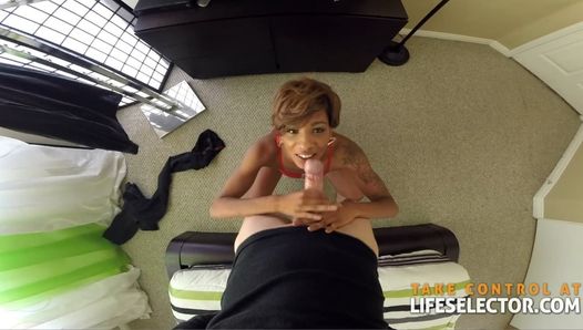 Pregled videozapisa