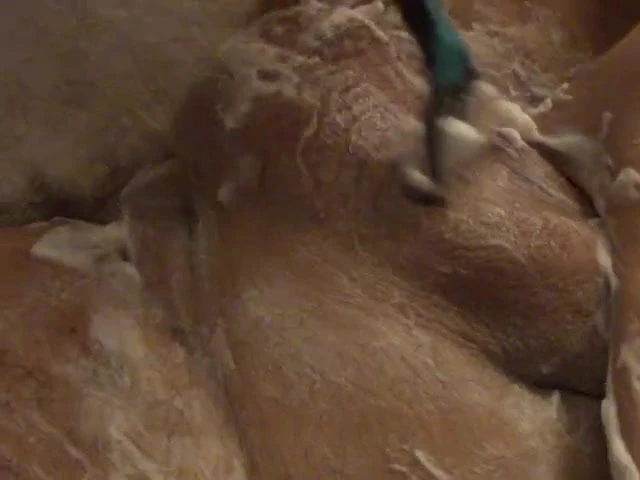 Shaving 4