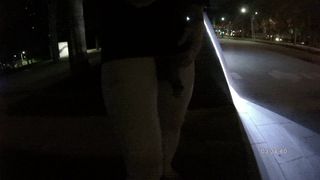 Публичная прогулка ночью 22