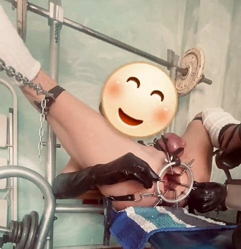 การยืดใหม่