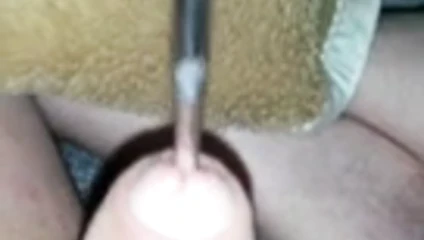 sondaj