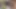 Pelacur Jerman berambut cokelat seksi menikmati menyenangkan dua ayam keras di luar ruangan