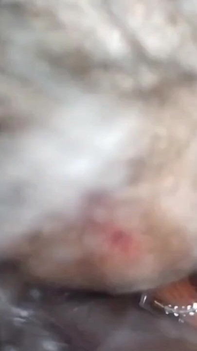 Hamne apne pati ka Aujar muh me lia | Clip 2