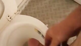 Pfote mit viel Sperma in der Toilette