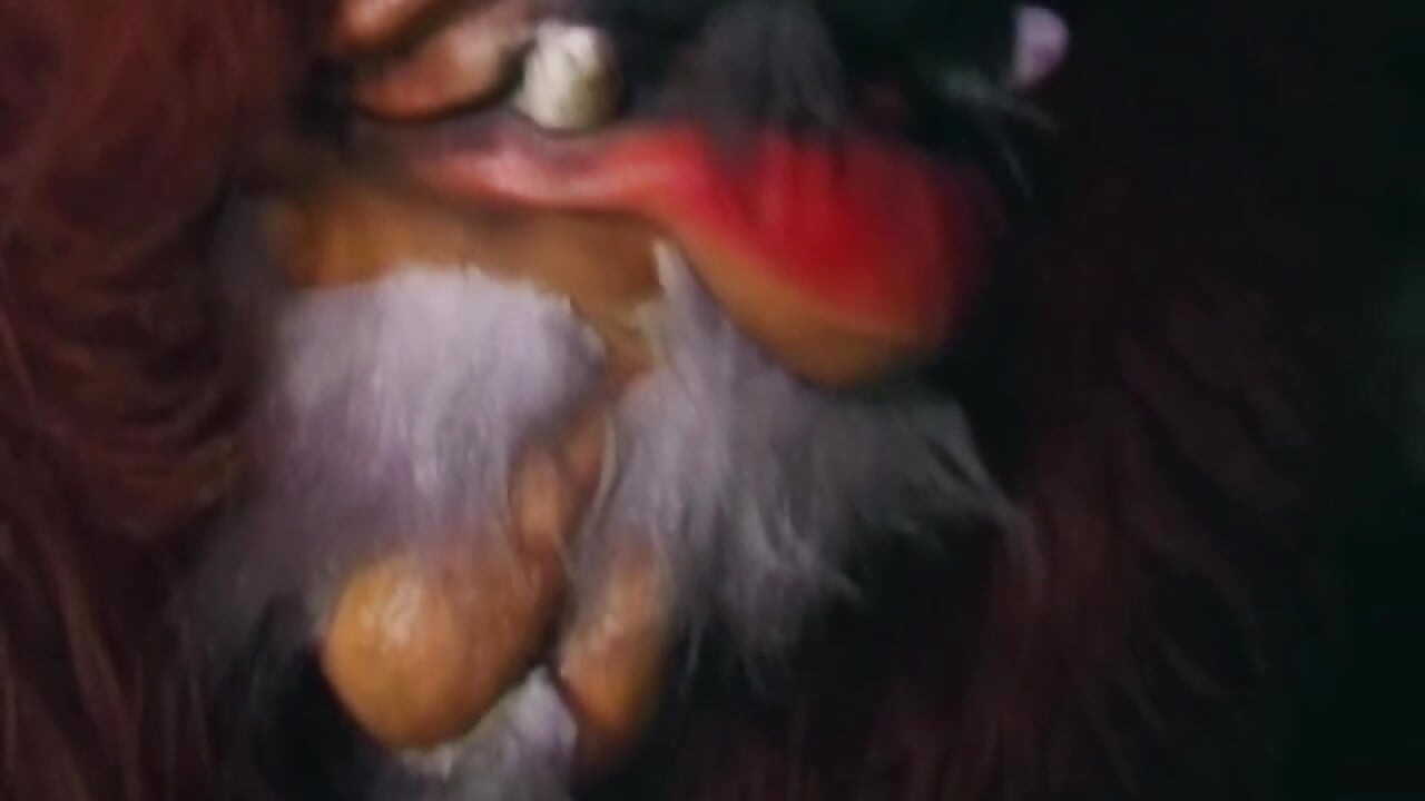 Madura rubia milf chupa la polla del oso peludo al aire libre
