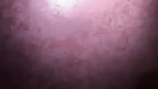 Wir stellen Mia Sopella vor