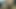 Horny Morning Cumshot - Shaking BBC Until I Explode