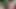 Fucking a cute young woman, her boyfriend almost discovered us and I give him all the cum on his face