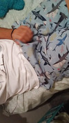 Pregled videozapisa