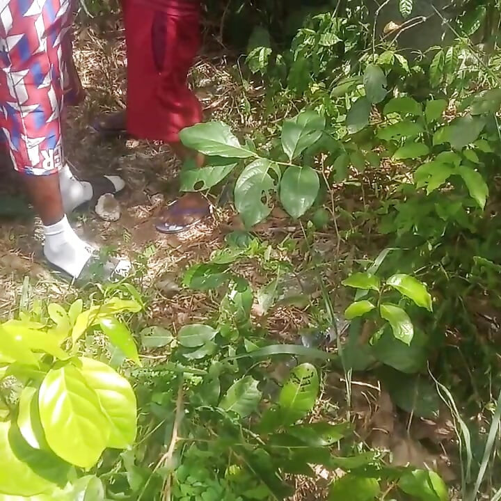 A Bush Hang Out with My Homie