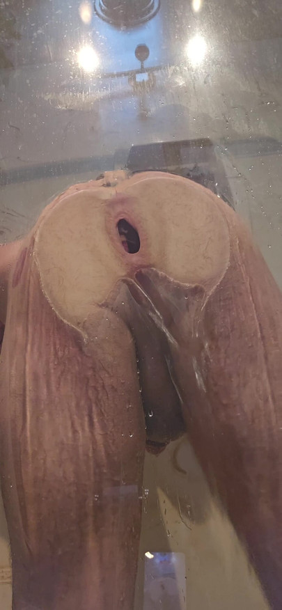 Asshole pressing against shower glass