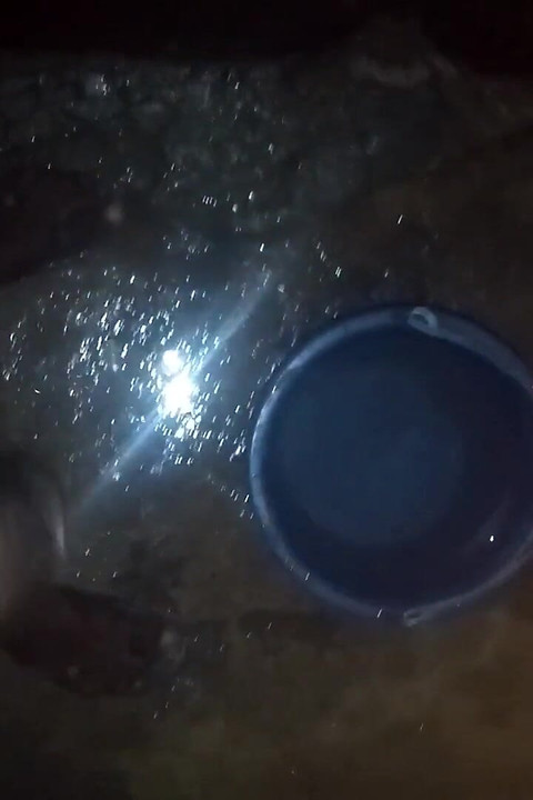 I Eat My Self White Soap