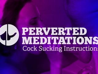 Instrucciones para chupar la polla - meditaciones pervertidas