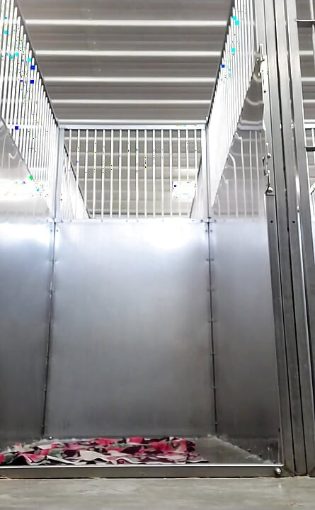 Mengunci diri saya dalam sangkar Kennel di tempat kerja,
