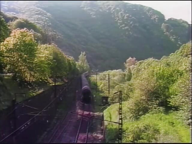 Pleasure Express - Enhanced