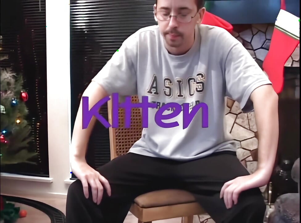 La Chatte Portée Par Le Père Noël