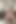 Plump Paradise 体重測定 - 2024年6月