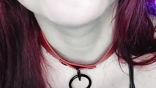 Pertunjukan Gauchita! Penghargaan untuk Yang Terindah di Komunitas!