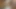 Seksi milf tuvalet kölesinin ağzına işiyor. altın yağmur. derleme