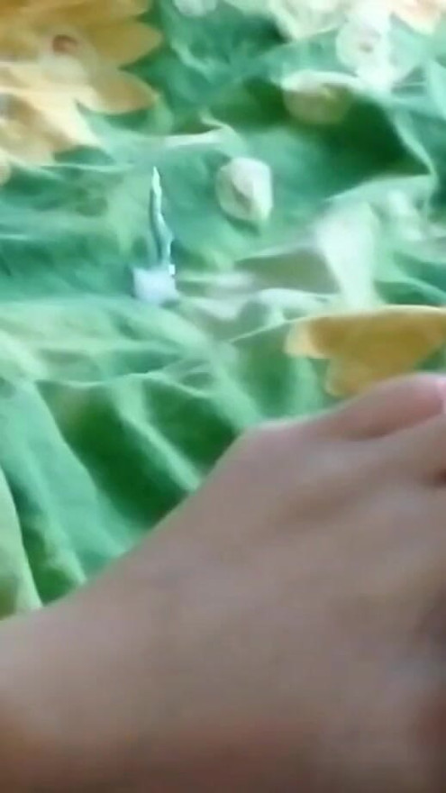 My stepsister helps me cum with her soft feet | Clip 1