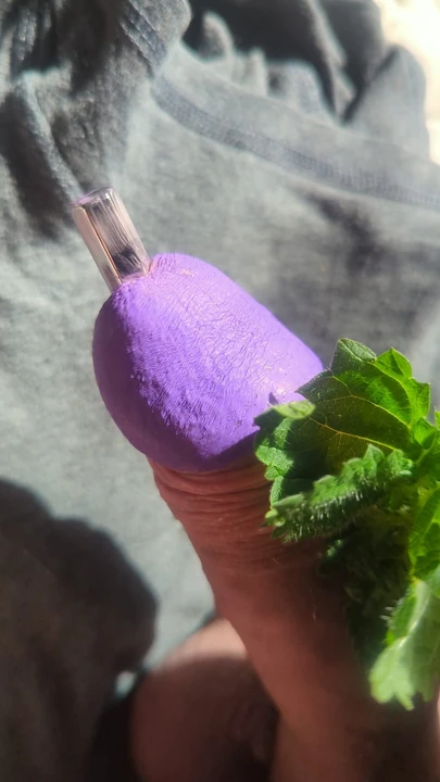 涂漆烹饪荨麻酷刑与塞