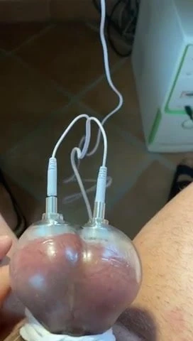 Testicles estim