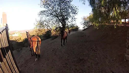 Penelope Stone and the HUGE cock outdoor!