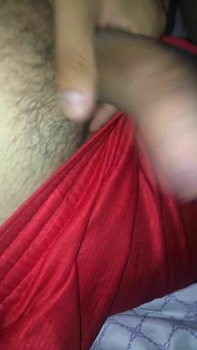 Nuevo 17